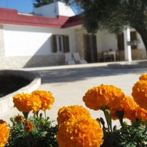 Soggiorna in una Casa Vacanze a Monopoli e Ale & Vinci: L’Esperienza di una Vacanza Unica!