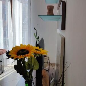 Serena GuestHouse: Il Miglior Appartamento a Monopoli per una Vacanza Indimenticabile!