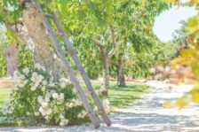 Bed & Breakfast Alberobello: Masseria Rosa Trulli Relais