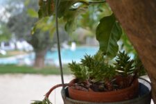 Hotel Mattinata: Hotel Torre Santamaria Resort