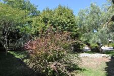 Hotel Gioia del Colle: Hotel Svevo