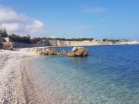 Hotel Bisceglie: Hotel Salsello