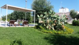 Affitta una Villa a Mest Pepp, un Appartamento a Monopoli e goditi una Vacanza di Lusso!