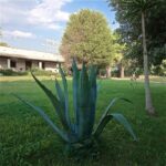 Hotel Presicce: Hotel Masseria Le Pajare