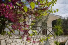 Campeggio San Menaio: Camping Valle d’oro