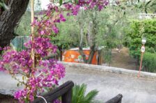 Campeggio San Menaio: Camping Valle d’oro