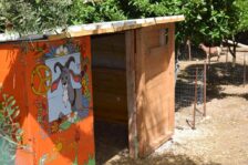 Campeggio San Menaio: Camping Valle d’oro