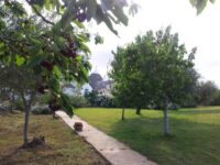 Agli Ospiti Piace Molto Passeggiare Per Il Quartiere! Castellana Grotte: Fontana Vecchia B&B