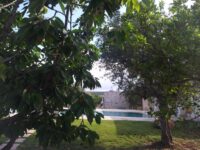 Agli Ospiti Piace Molto Passeggiare Per Il Quartiere! Castellana Grotte: Fontana Vecchia B&B