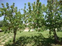 Agli Ospiti Piace Molto Passeggiare Per Il Quartiere! Castellana Grotte: Fontana Vecchia B&B