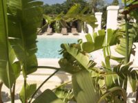 Bed & Breakfast Fasano: Masseriola Antiche Fogge