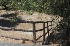 Campeggio San Menaio: Camping Valle d’oro