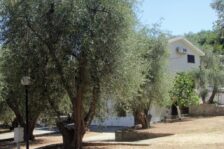 Campeggio San Menaio: Camping Valle d’oro