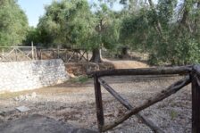 Campeggio San Menaio: Camping Valle d’oro