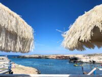 Come Trovare l’Amor di Casa: Le Migliori Strategie per Appartamento e Monopoli