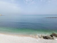 Hotel Bisceglie: Hotel Salsello