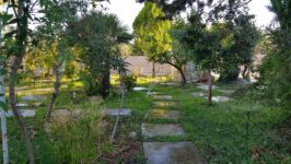 Villa Vacanze Monopoli: Vivi un’Esperienza Unica nel Cuore della Puglia!