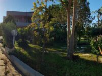 Villa Vacanze Monopoli: Vivi un’Esperienza Unica nel Cuore della Puglia!