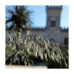 Casa Di Campagna Fasano: Masseria Salamina