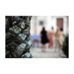 Casa Di Campagna Fasano: Masseria Salamina