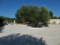 Soggiorna in una Casa Vacanze a Monopoli e Ale & Vinci: L’Esperienza di una Vacanza Unica!