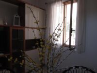 Soggiorna in una Casa Vacanze a Monopoli e Ale & Vinci: L’Esperienza di una Vacanza Unica!