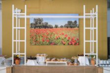 Resort Carovigno: Torre Guaceto Greenblu Resort