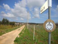 Agli Ospiti Piace Molto Passeggiare Per Il Quartiere! Castellana Grotte: Fontana Vecchia B&B