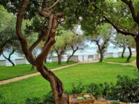 Aurelia Sea View, Bed & Breakfast: Un’Esperienza di Lusso a Torre Canne!