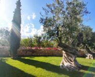 Hotel Mattinata: Hotel Torre Santamaria Resort