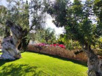 Hotel Mattinata: Hotel Torre Santamaria Resort