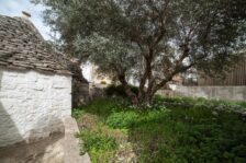 Residence Alberobello: Charming Trulli