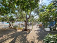 Residence Mattinata: Hotel Residence Torre Del Porto