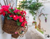 Soggiornare a Grottaglie: La Nghioscia, la Scelta Migliore per le Vacanze in Puglia