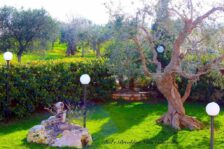 Bed & Breakfast Castellana Grotte: B&B Villa Cassandra