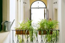 Scopri il B&B Dimora San Vincenzo: Uno dei Migliori Bed & Breakfast a Gallipoli!