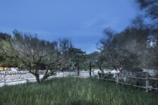 Casa Di Campagna Fasano: Masseria Alchimia