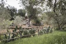 Casa Di Campagna Fasano: Masseria Alchimia