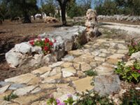 Agli Ospiti Piace Molto Passeggiare Per Il Quartiere! Castellana Grotte: Fontana Vecchia B&B