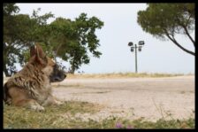 Hotel Castellana Grotte: Hotel La Vetta Europa