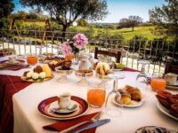 Bed & Breakfast Alberobello: B&B Il Leccio