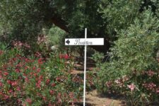 Agriturismo Savelletri di Fasano: Agriturismo Masseria San Leonardo