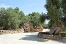 Agriturismo Savelletri di Fasano: Agriturismo Masseria San Leonardo