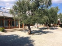 Fronte Spiaggia Mattinata: La Rotonda