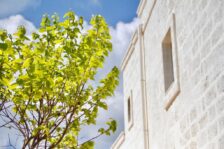 Bed & Breakfast Fasano: Masseriola Antiche Fogge